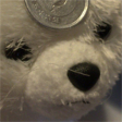 sadaharu