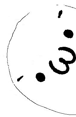 やるる